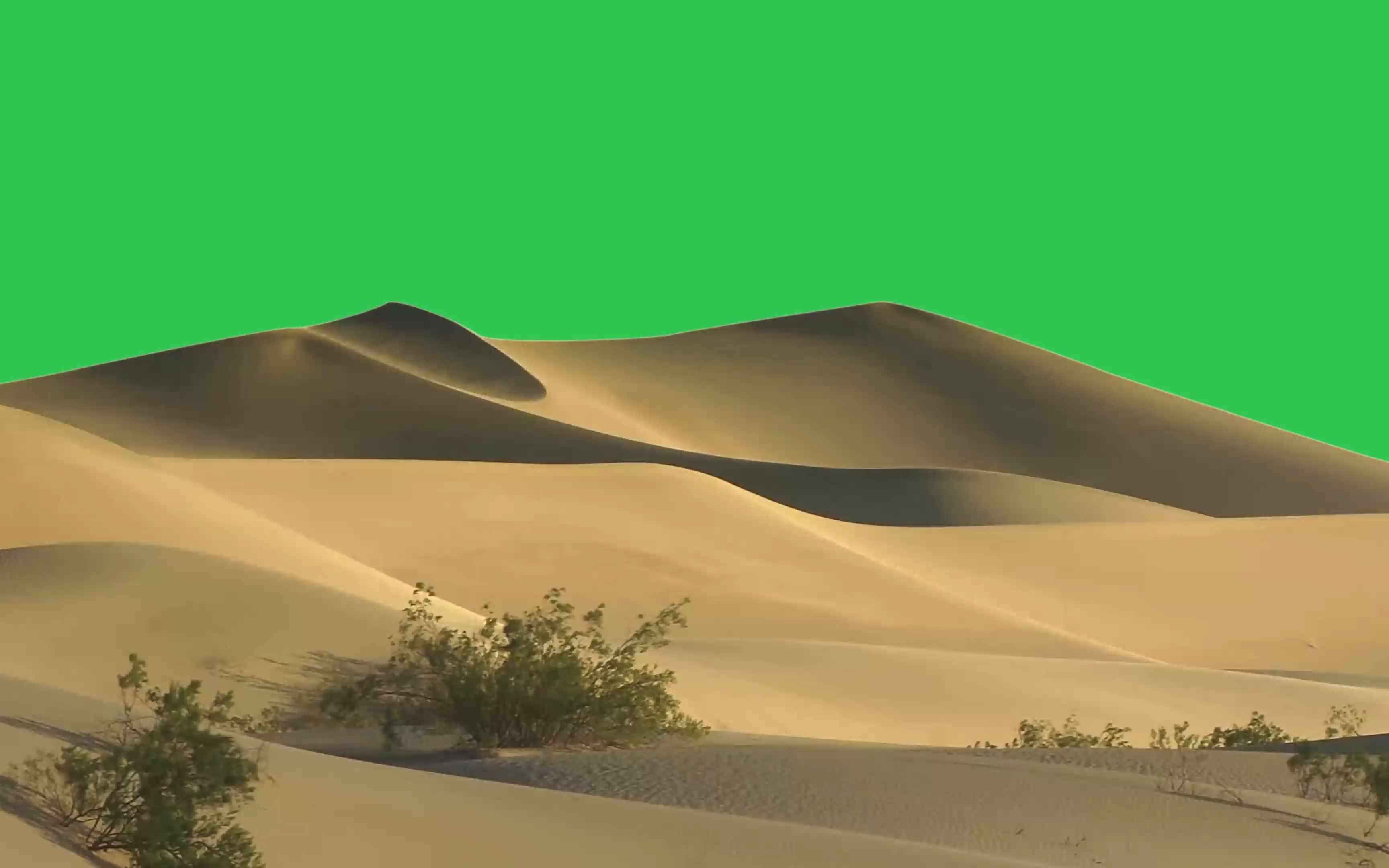 绿幕视频素材沙漠