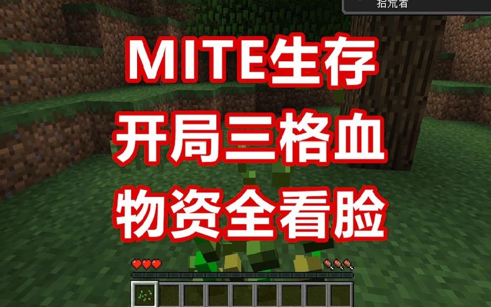 [图]【MC实在是太简单了！】MITE生存实况 第一周