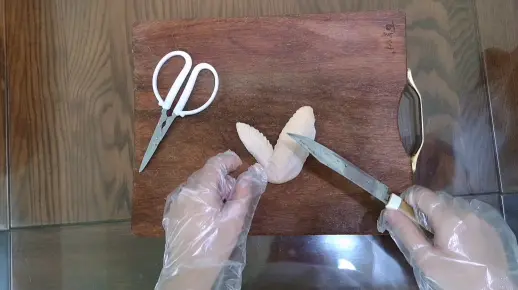 生物作业——解剖鸡翅