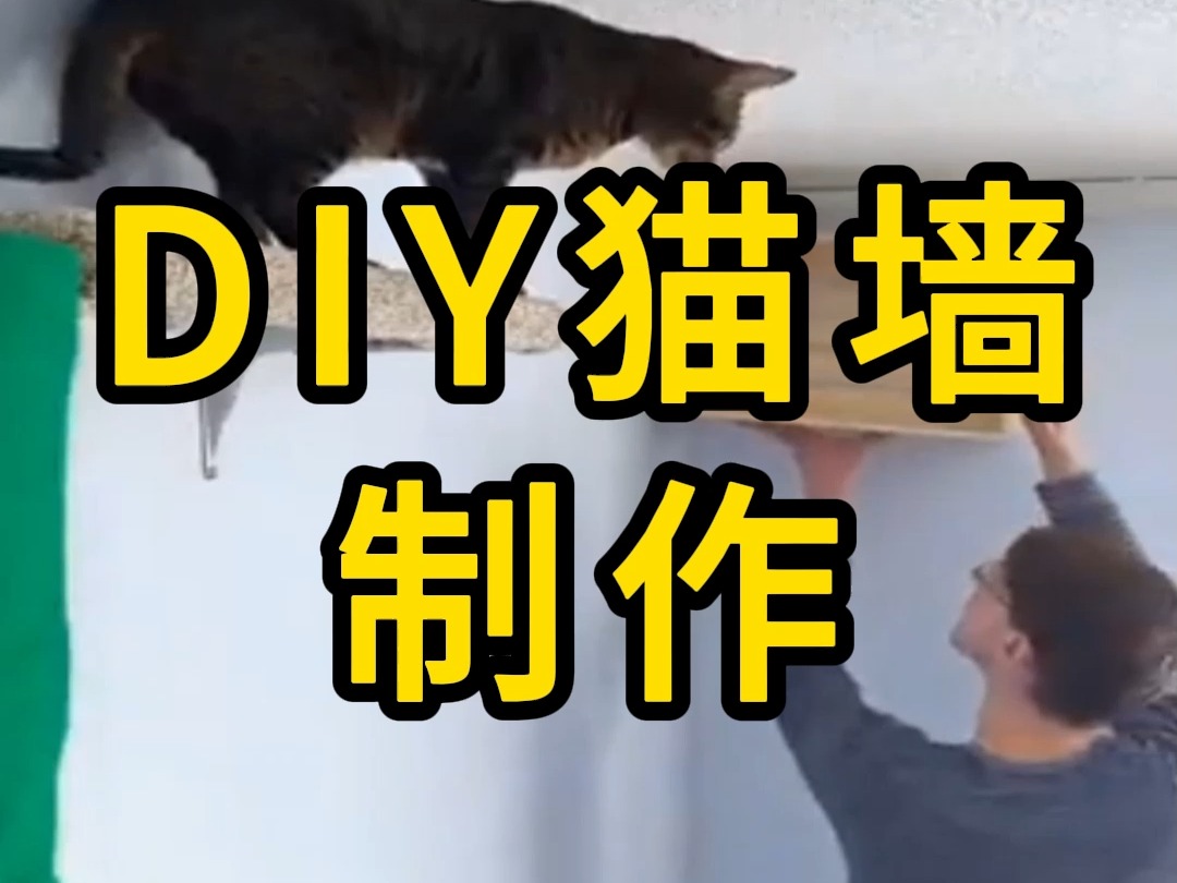 DIY猫墙制作哔哩哔哩bilibili