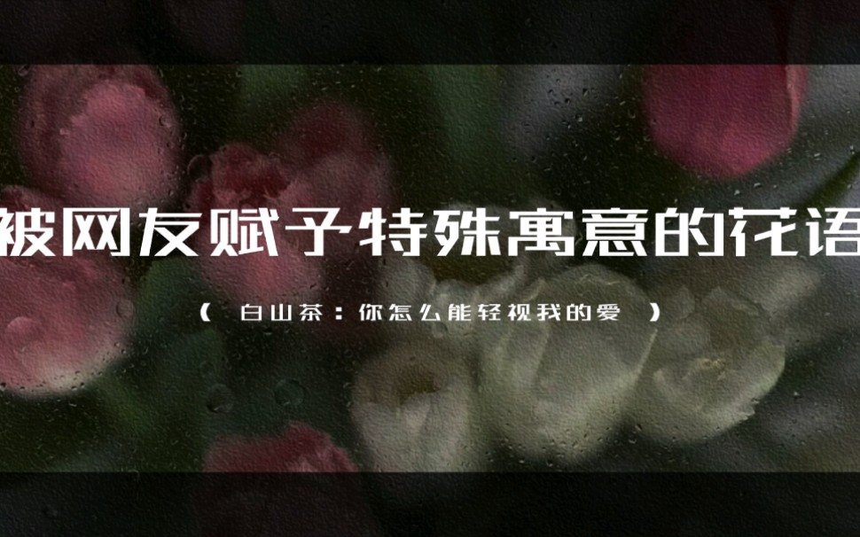 "蒲公英:无法停留的爱,天涯海角,至死不渝,御风而动,风静而安,看似自由,实则,身不由已" | 被网友赋予特殊寓意的花语.哔哩哔哩bilibili