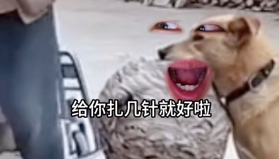 《医学の奇迹》