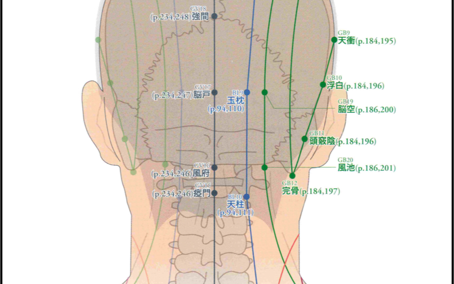 [图]针灸穴位图