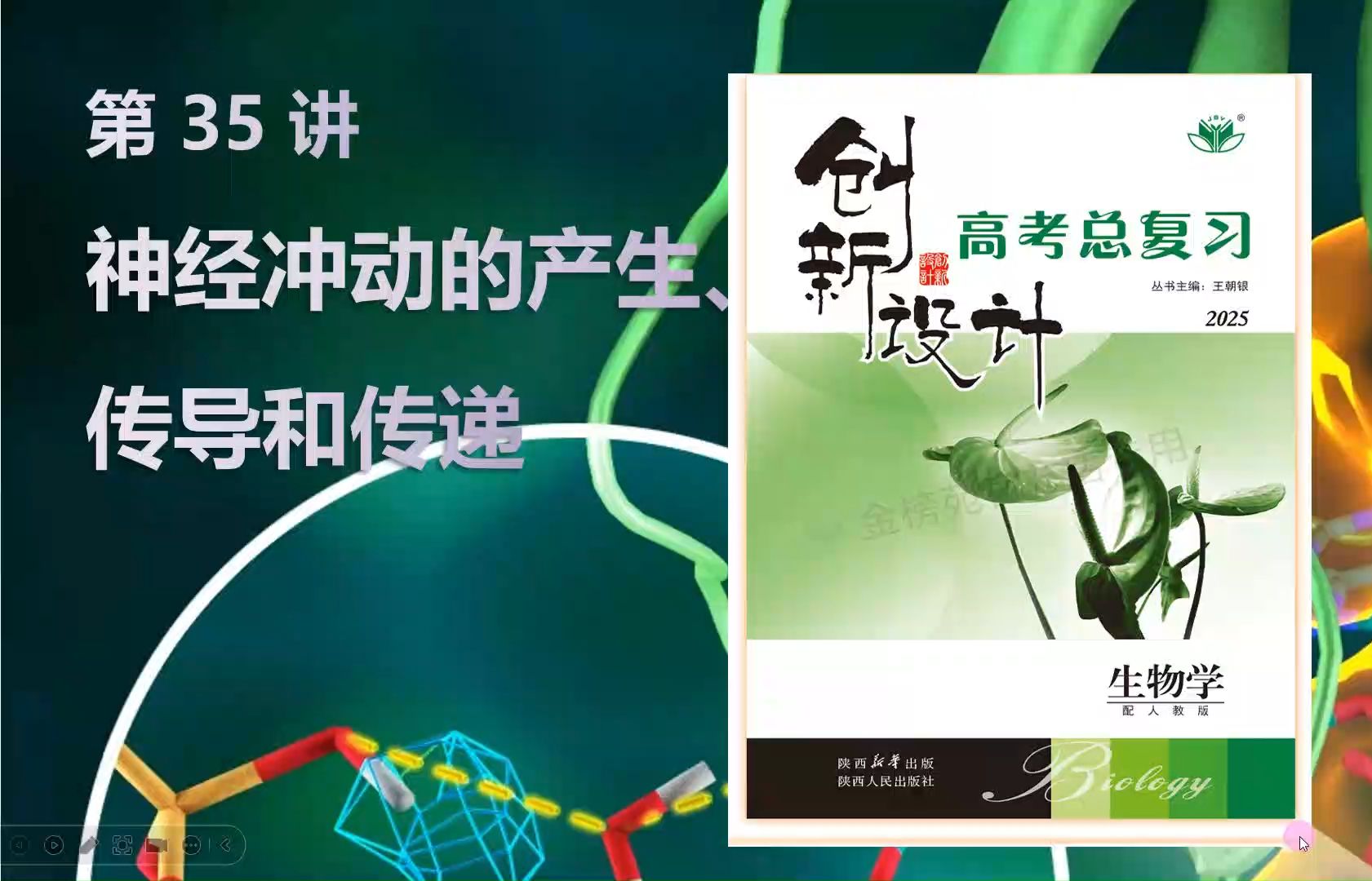 【2025高中生物一轮复习】35讲1神经冲动的产生传导和传递 新高考创新设计全国通用新教材新课标网课必修一必修二选择性必修123哔哩哔哩bilibili