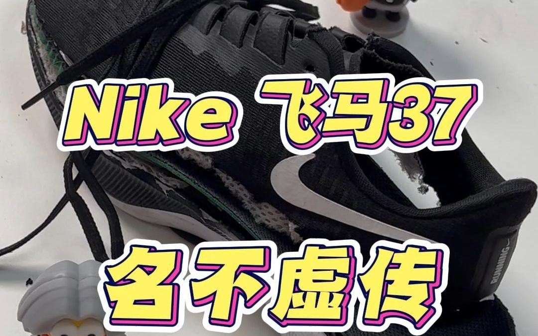 家人们谁懂啊,nike飞马37它真的