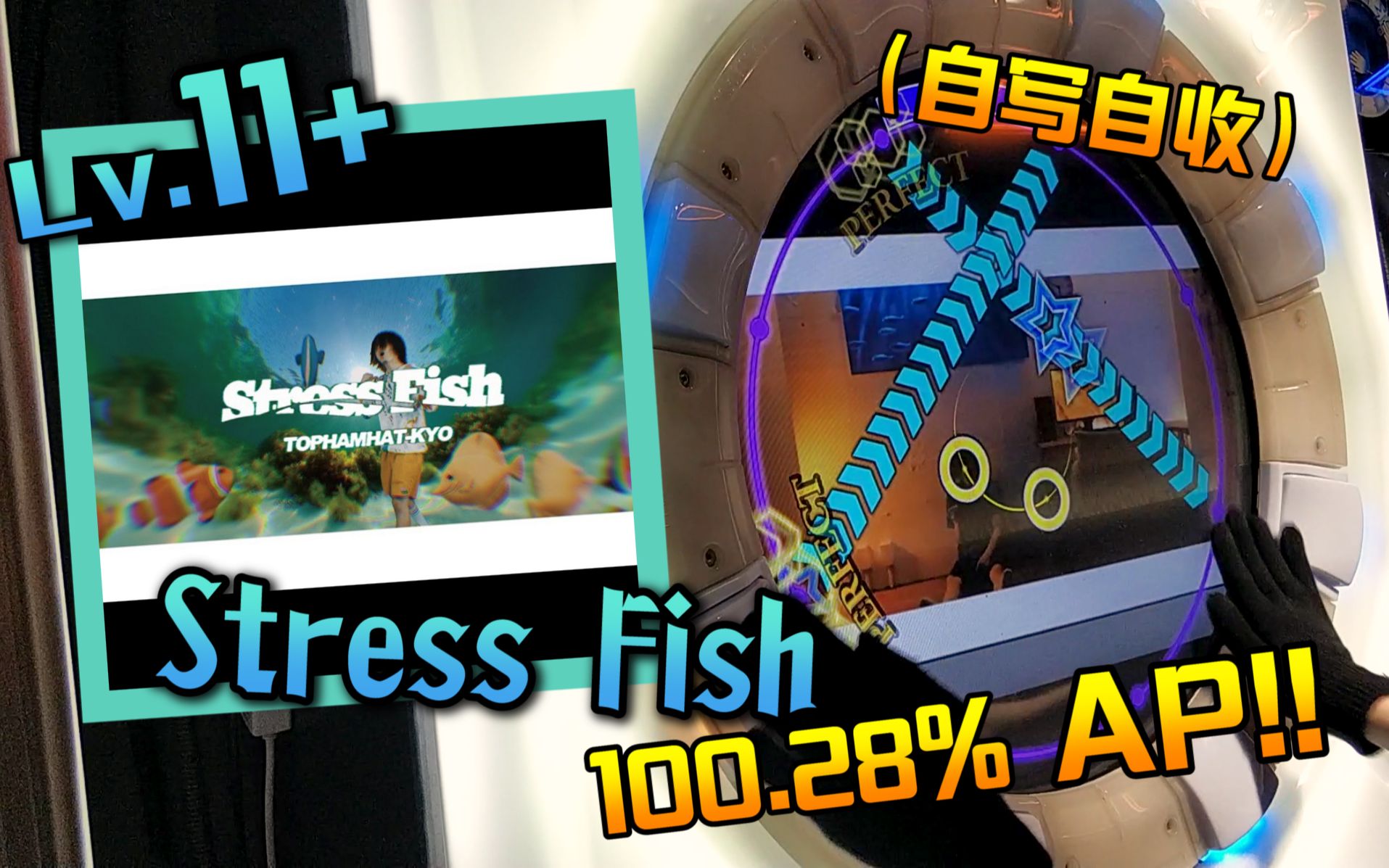 [图]【maimai手元】Stress Fish LV.11+(自制谱) SSS/100.28% AP by 橙喵SM_chennn