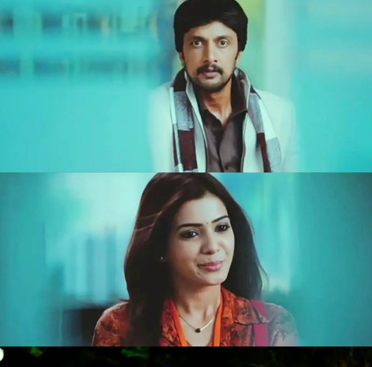 功夫小蝇(印度)