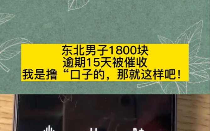 东北男子欠款1800块,逾期15天被催收,我是“撸口子”的,那就这样吧!哔哩哔哩bilibili