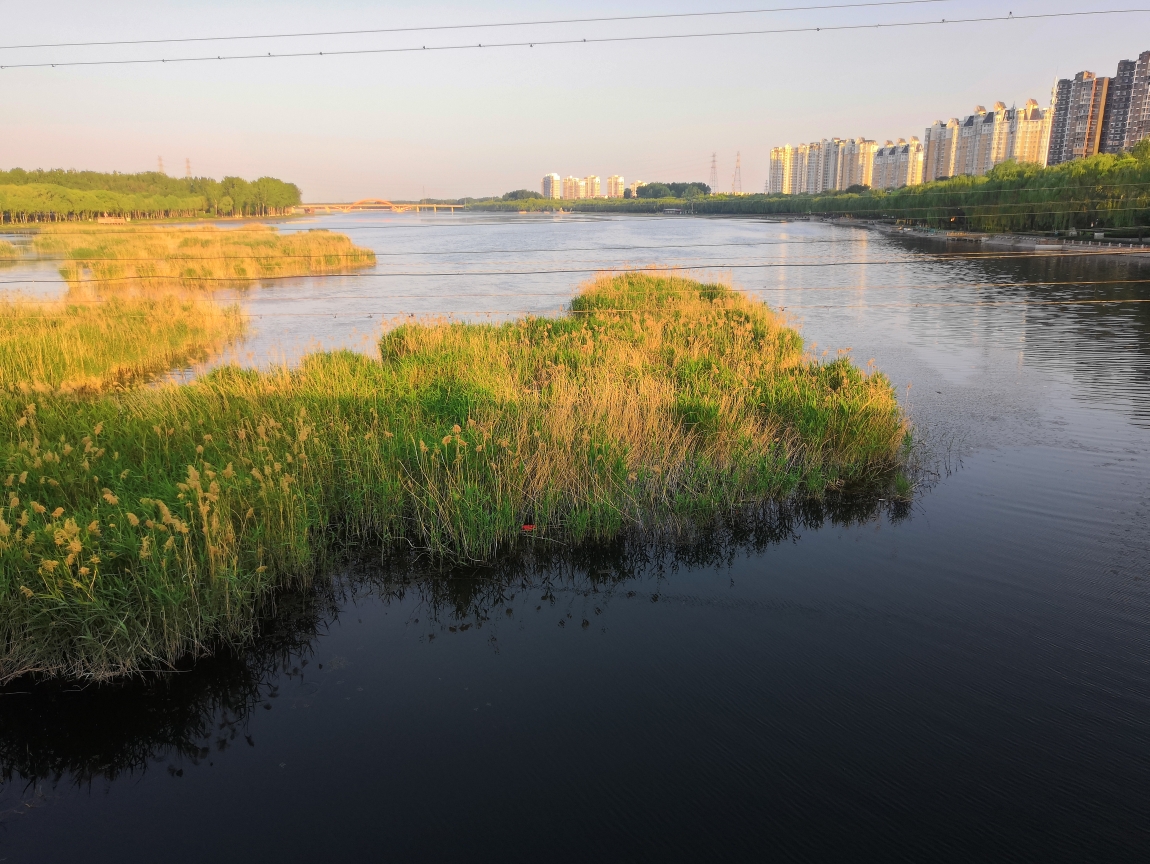 【慢节奏生活】探索悠然自得的人生境界