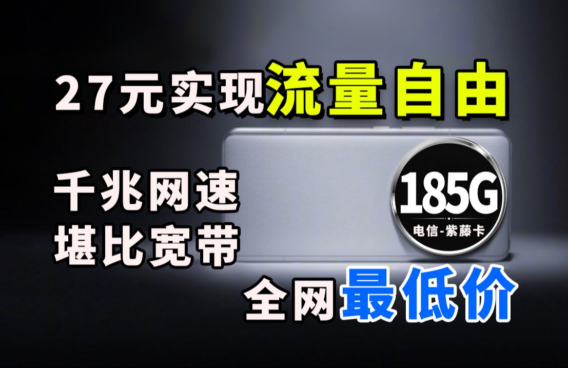 赶紧扔掉你的无线网!27元实现流量自由!每月拥有185G流量和千兆网速对标宽带?电信联通移动手机卡/电话卡/流量卡/推荐卡品:紫藤卡哔哩哔哩bilibili