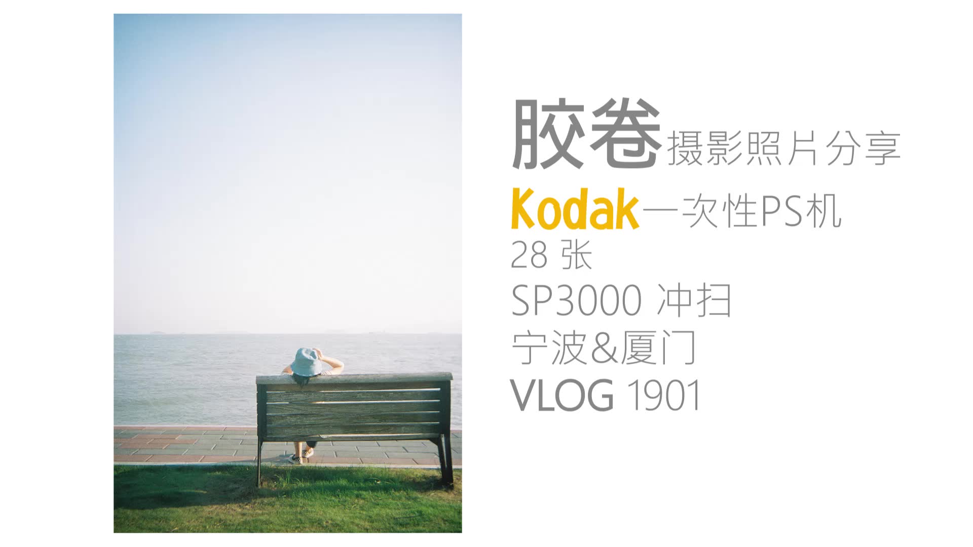 Kodak柯达一次性胶片机试用  VLOG 1901哔哩哔哩bilibili