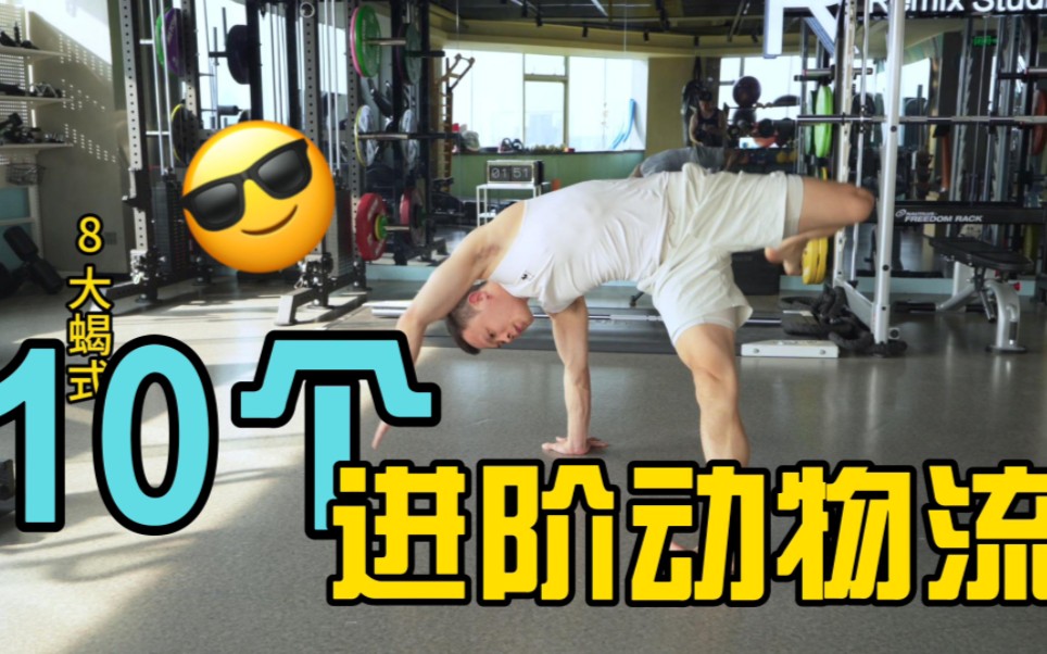 10个动物流进阶训练动作,试试看可以完成几个!【动物流animalflow】