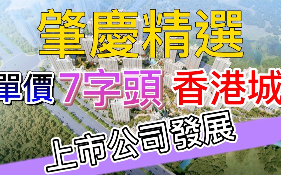 肇庆香港城 招商依云水岸 肇庆新区,发展新潜力!哔哩哔哩bilibili