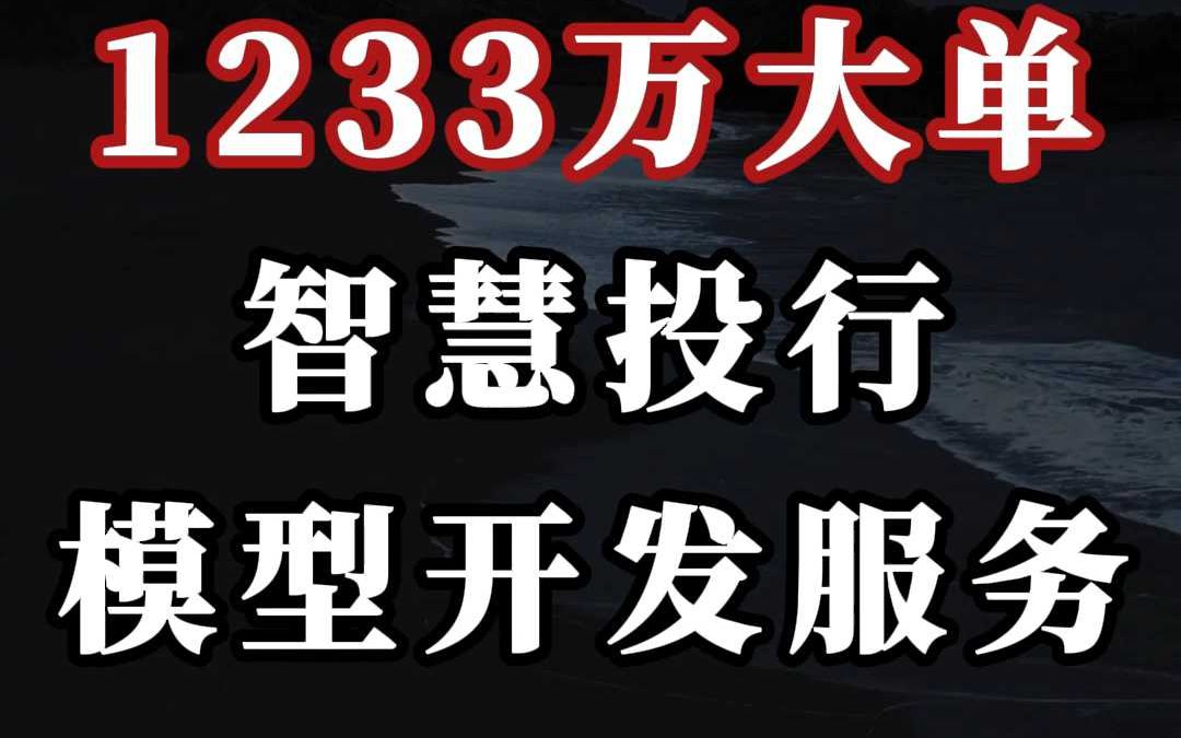 1233 万、智慧投行模型开发服务哔哩哔哩bilibili