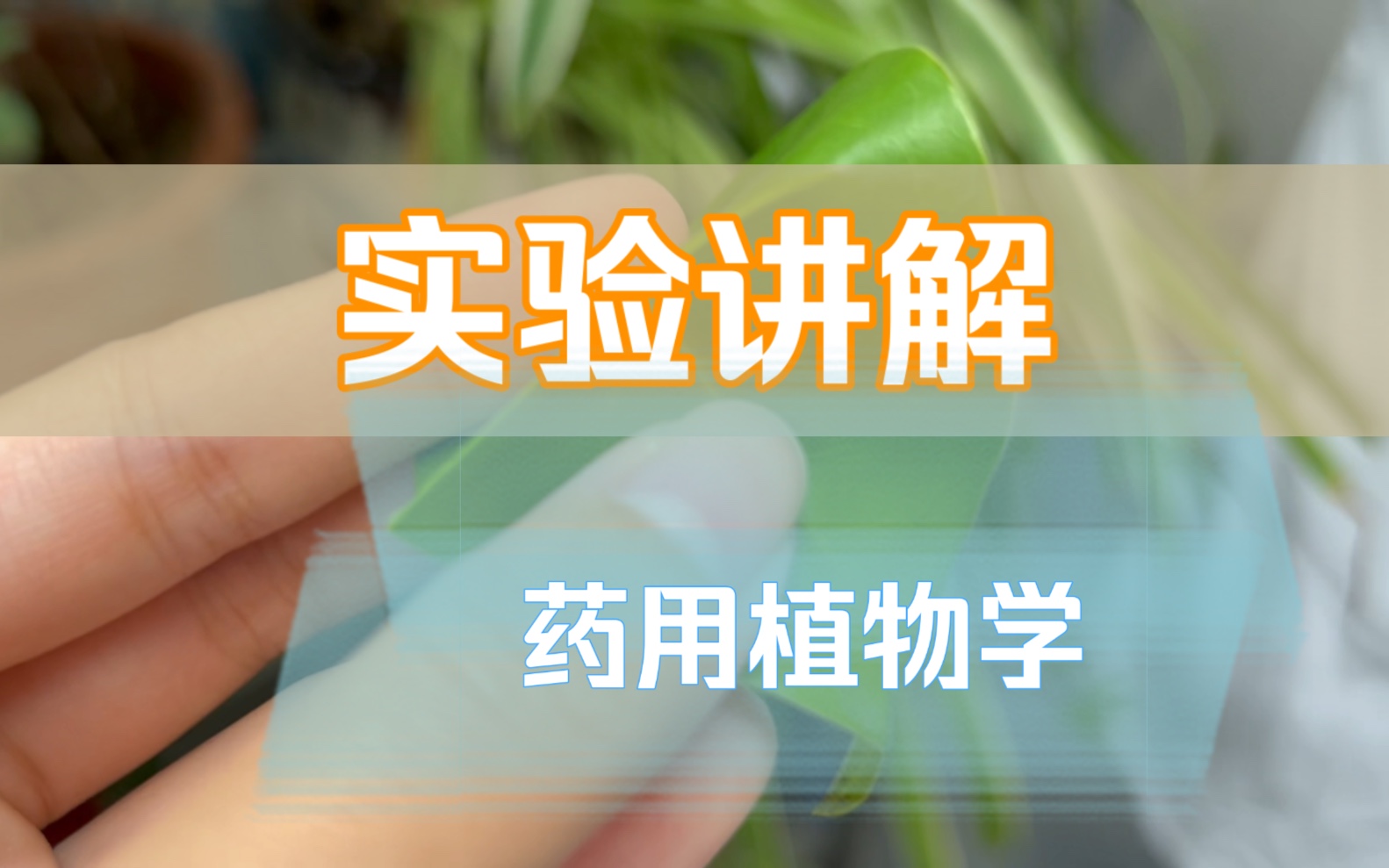 [图]实验讲解（药用植物学）