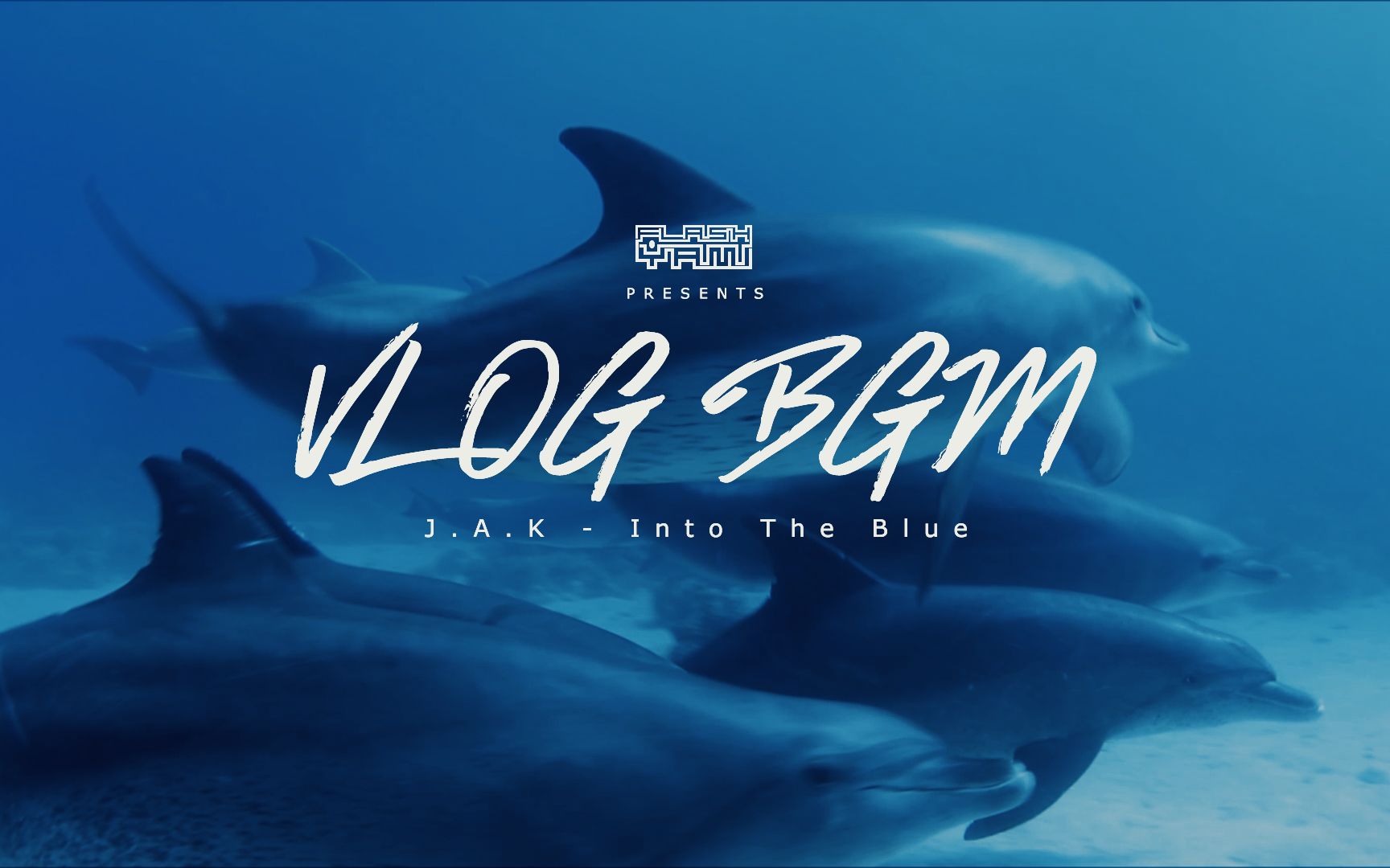 [图][VLOG必备BGM] J.A.K - Into The Blue 背景音乐 免费版权 内附下载 碧蓝之海 潜水 海豚