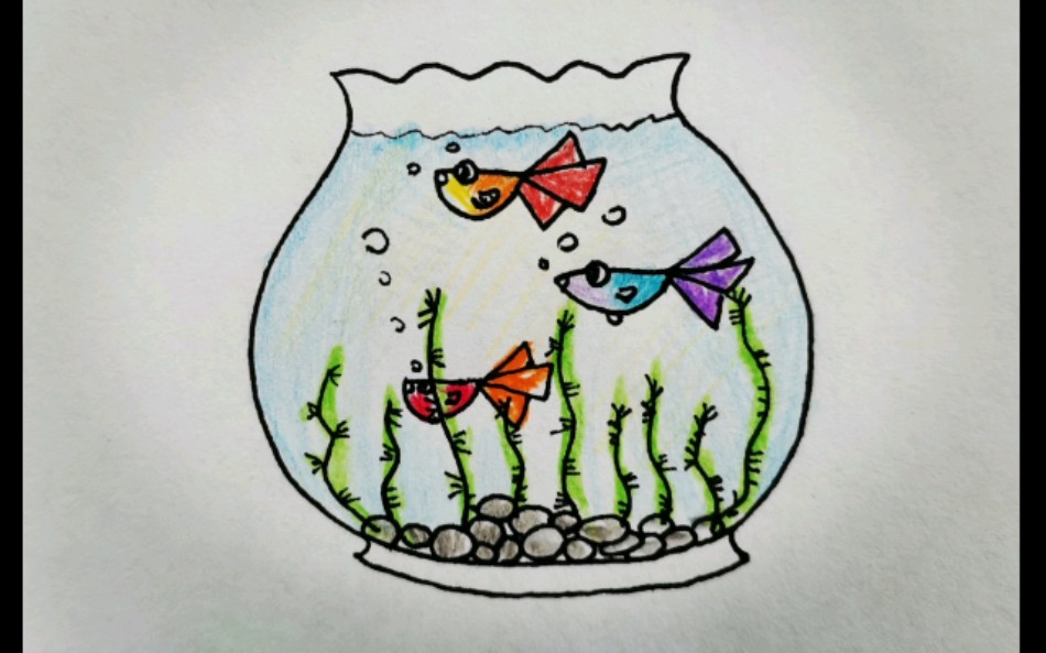鱼缸简笔画可爱图片