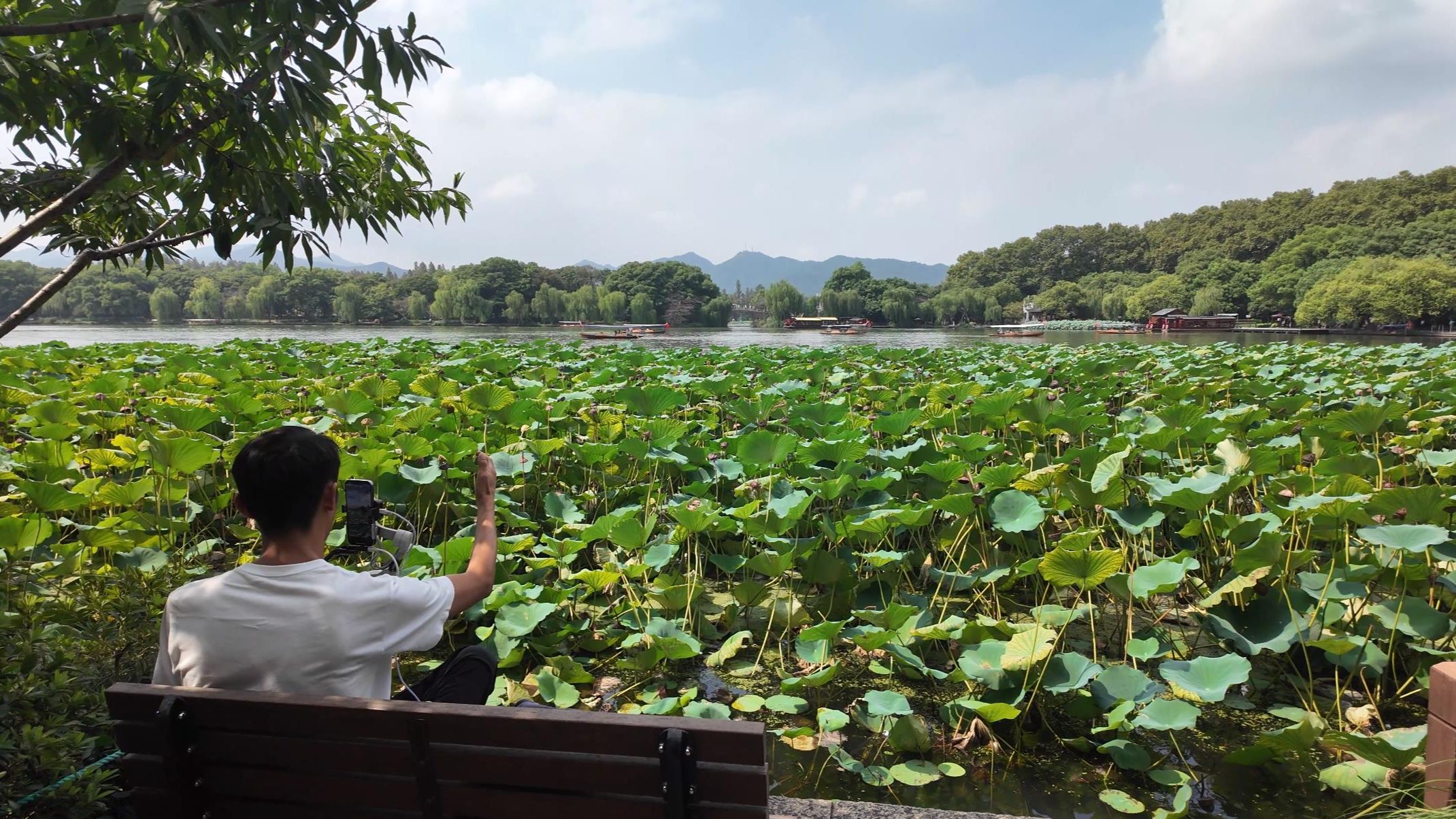 西湖街区|杭州旅游步行 EP02|4K|苏堤|印象西湖|曲院风荷|孤山路|西冷桥 阮墩环碧|湖心亭|湖边休息椅|林荫道|保俶路|北山街|西湖景区游船码头哔哩哔哩bilibili