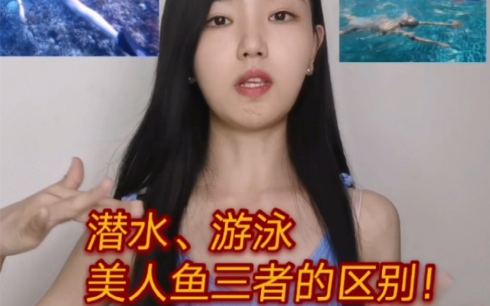 游泳、美人鱼、自由潜三者之间的区别!哔哩哔哩bilibili