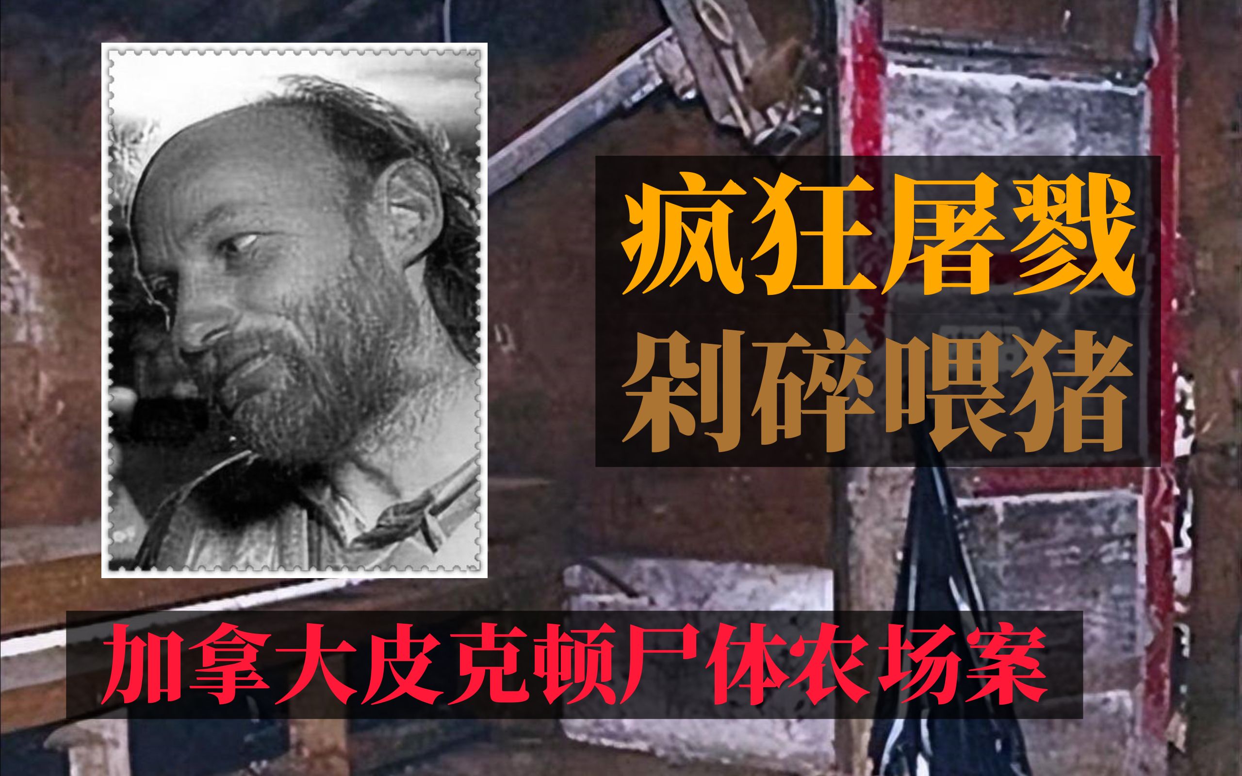 疯狂屠戮性工作者,把她们剁碎喂猪——加拿大皮克顿尸体农场案哔哩哔哩bilibili