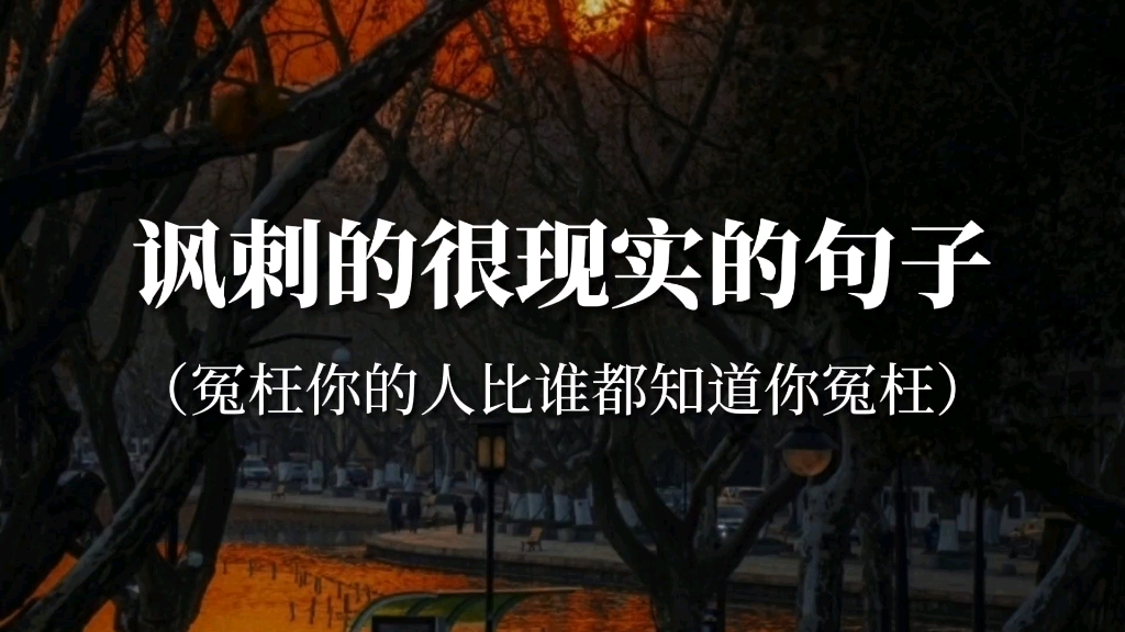 [图]“你说真话还得给人家道歉，因为你戳穿了事实”‖那些讽刺极强却很现实的句子