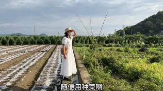 Descargar video: 贵州兴义农家小院，200平带1400平菜地，每个月700多贵吗