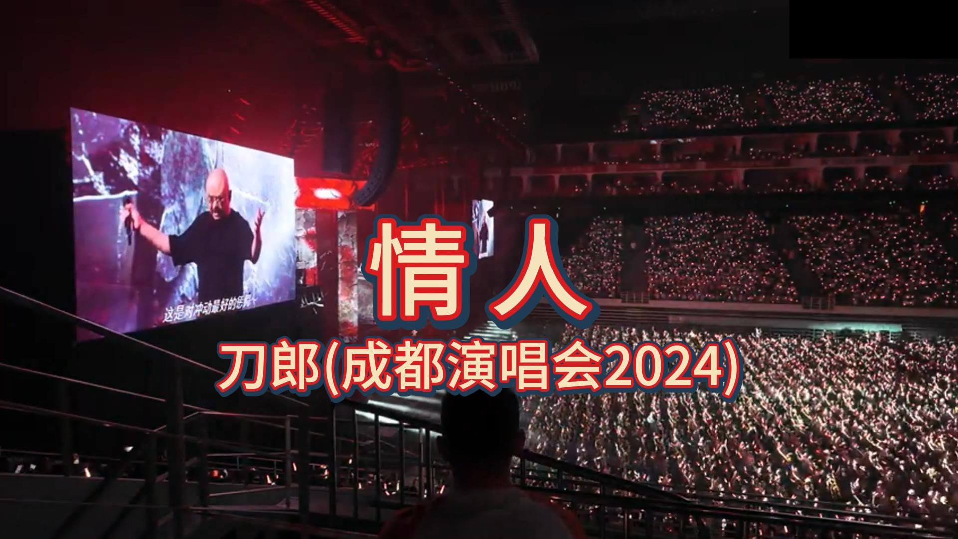 情人 现场版(摘自2024刀郎成都演唱会)