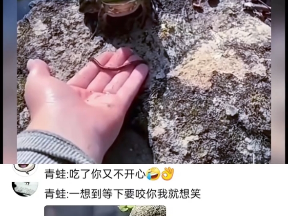 青蛙:一想到待会要咬你,我就想笑哔哩哔哩bilibili