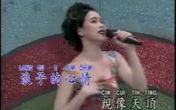 90年代VCD闽南歌曲十二大美女浪子的心情哔哩哔哩bilibili