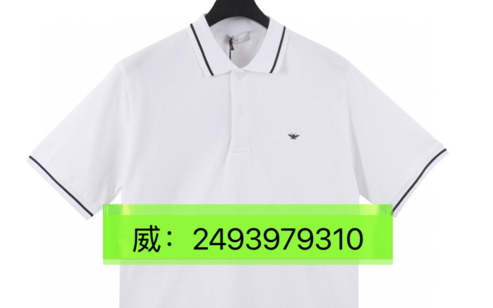 dior迪奥小蜜蜂刺绣logo短袖polo衫