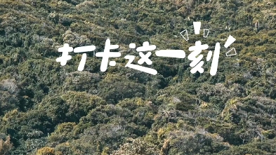 起风的日子学会依风起舞,落雨的时候学会为自己撑起一把伞,生活有望穿秋水的期待,也会有的意想不到的欣喜.哔哩哔哩bilibili