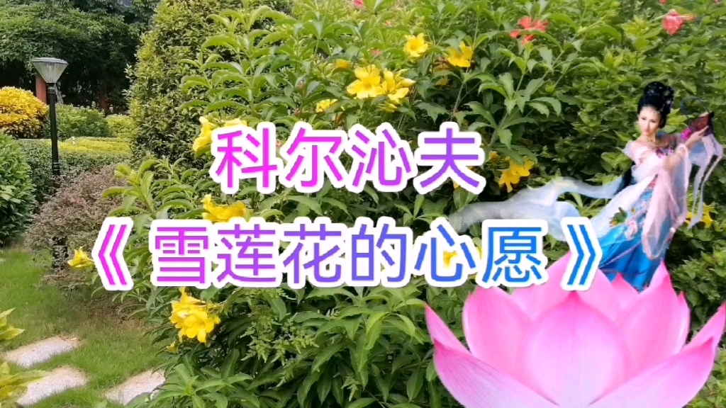 科尔沁夫《雪莲花的心愿》,天籁之音清脆嘹亮