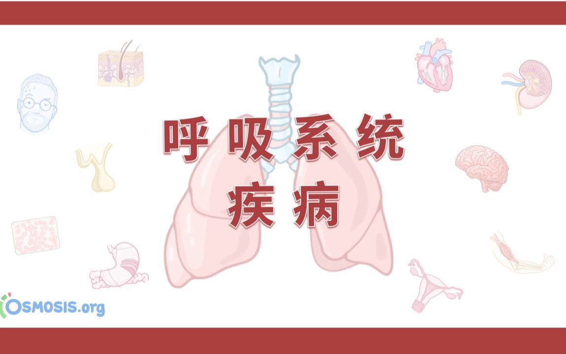 [图]【Osmosis合集】呼吸系统疾病（更至12P｜中英）