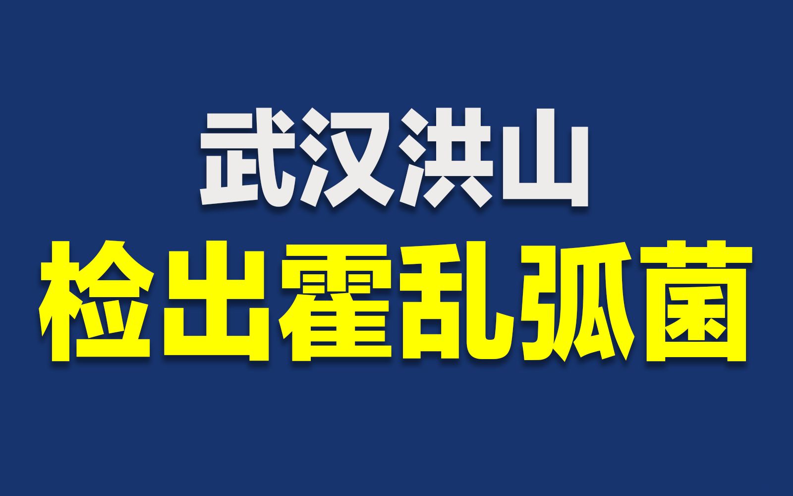 [图]武汉洪山检出甲鱼样本霍乱弧菌阳性，与武大病例无关