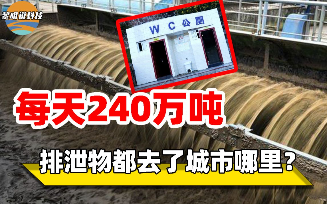 14亿人每天排240万吨,这些排泄物都哪去了?控制不好会发生什么?哔哩哔哩bilibili