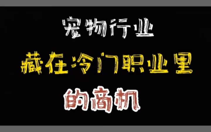 从宠物冷门职业里发现商机,已超4000亿规模的宠物行业市场大有可为!哔哩哔哩bilibili