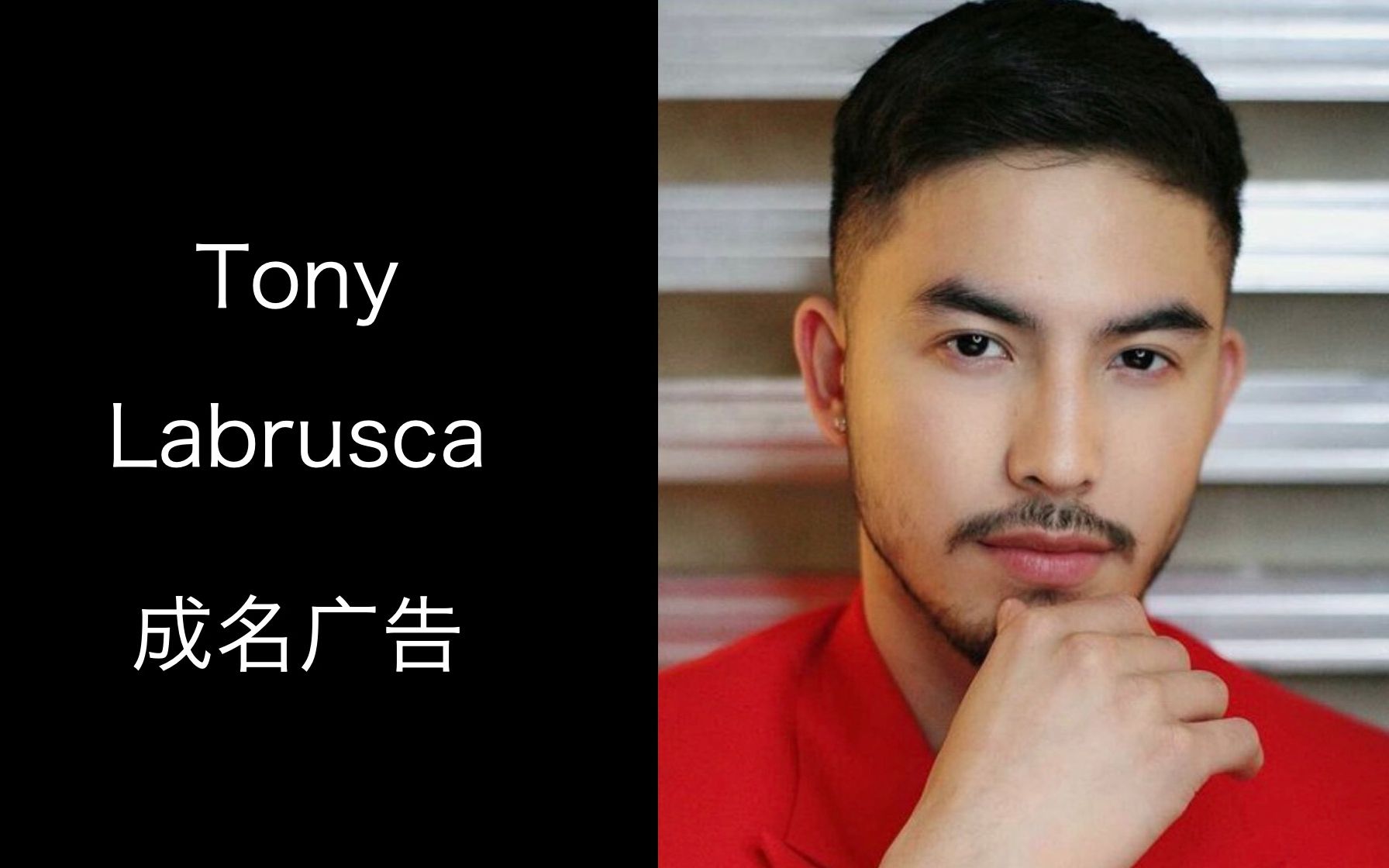 tonylabrusca成名广告赏析hellostranger男主角