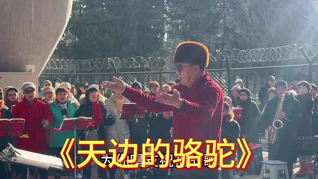 《天边的骆驼》 北京方庄新艺合唱团 指挥:姜老师