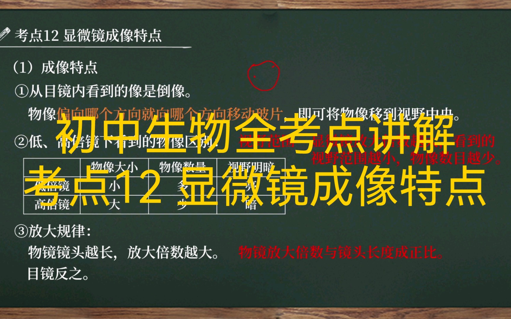 【初中生物全考点讲解|七上】考点12 显微镜成像特点哔哩哔哩bilibili