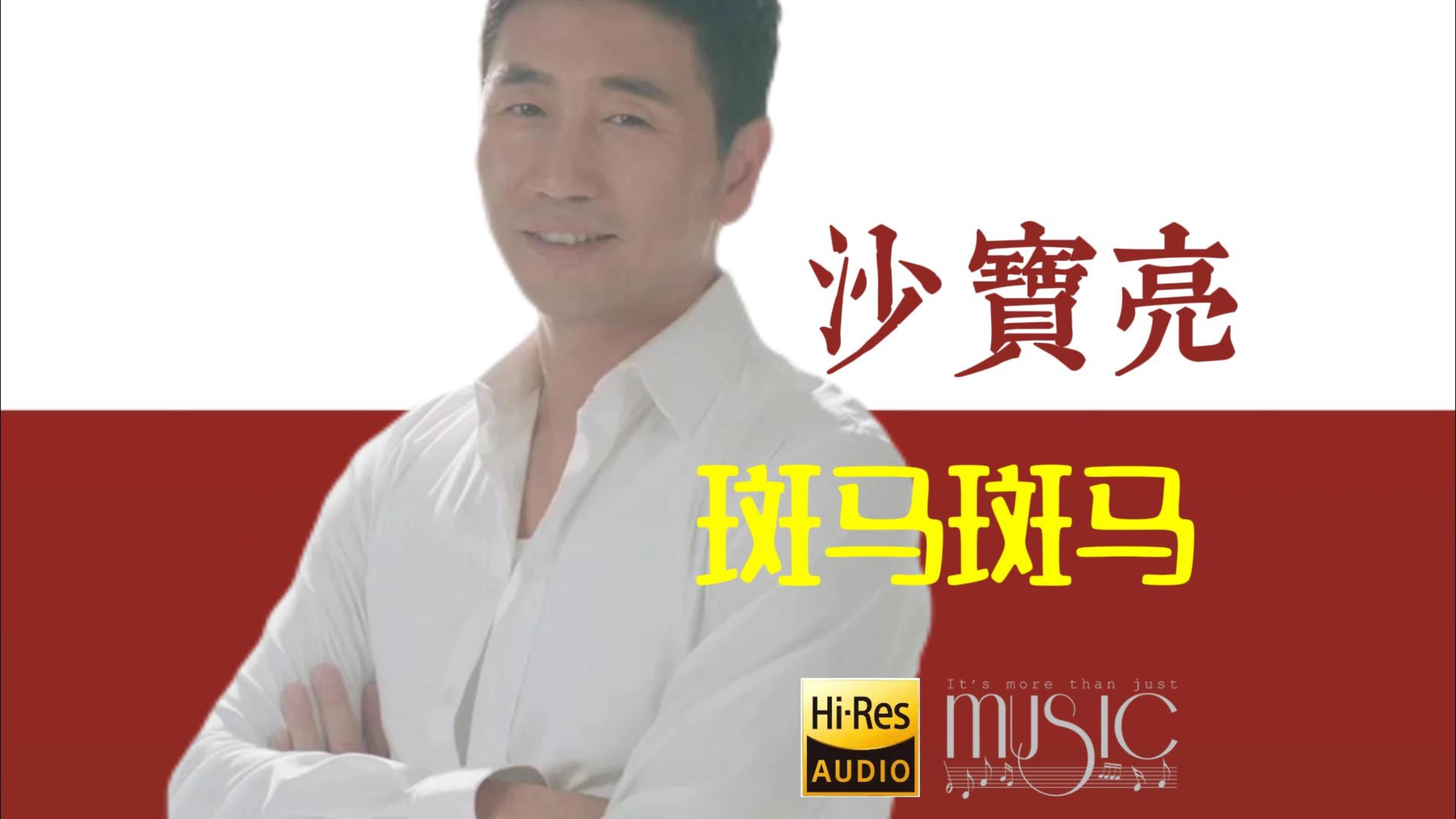 沙宝亮歌曲大全(沙宝亮歌曲大全100首)