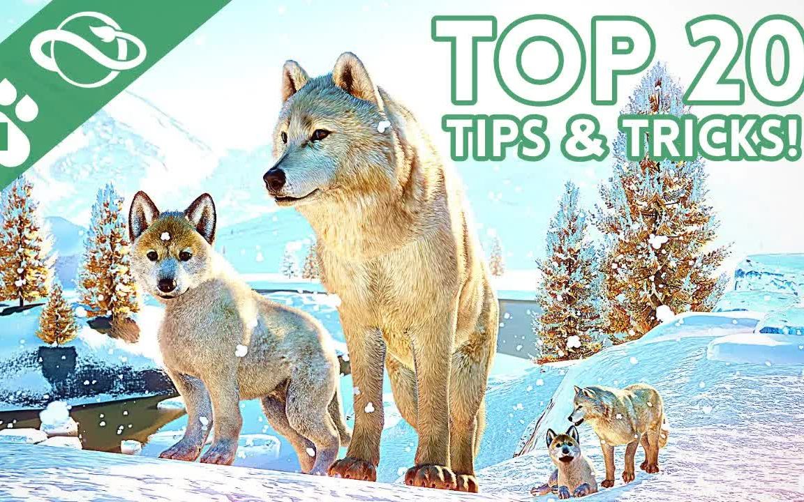 [图]【葡萄吃月饼】动物园之星 Top 20 Tips & Tricks 建议技巧 in Planet Zoo by PawsBuild