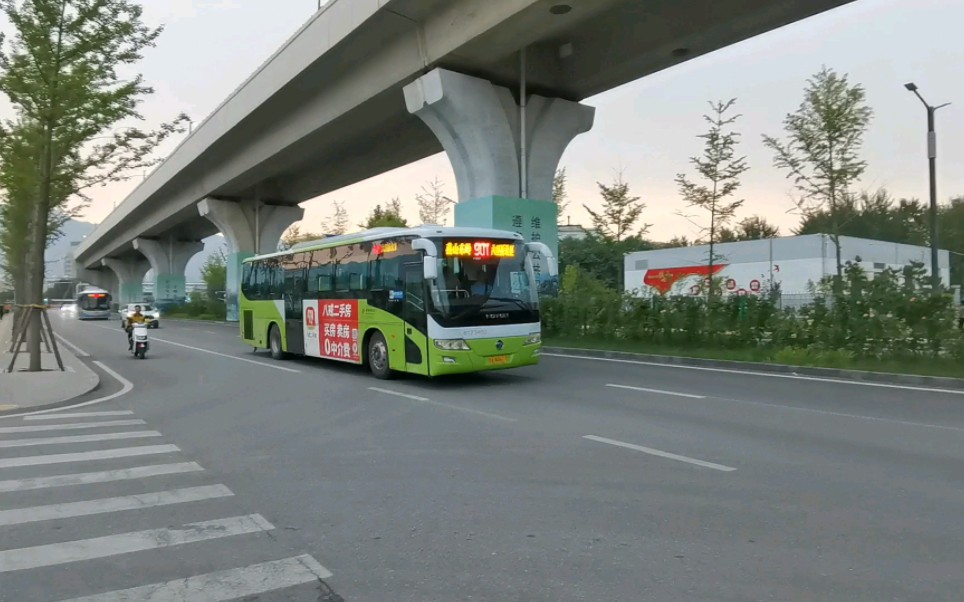 怀念北京公交901路已退役的兔子