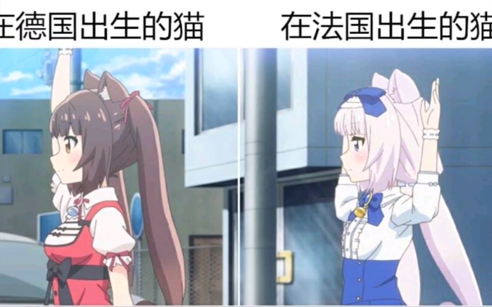 这也能乳法(~⊿~)?有趣的沙雕图