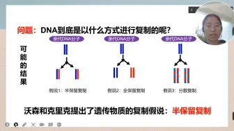 Video herunterladen: DNA的复制