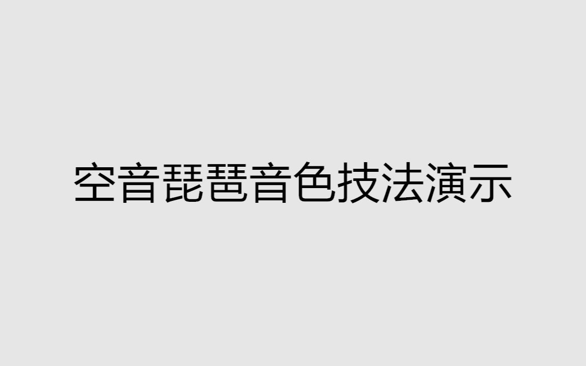 [图]空音琵琶44种音色技法演示