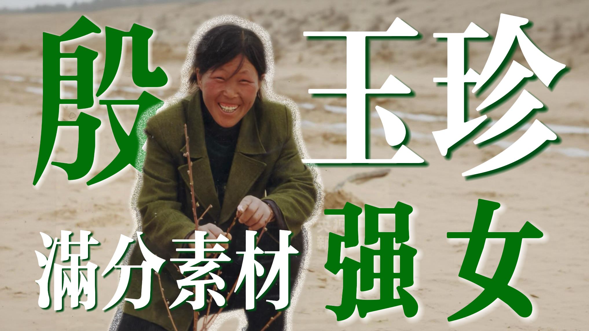 这，就是阅卷老师0秒给满分的顶级满分素材｜沙海里出了真精卫：殷玉珍