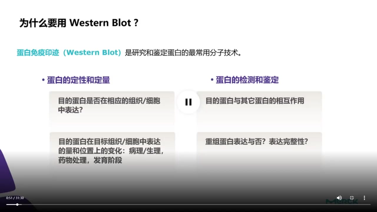 Western Blot流程优化与分析哔哩哔哩bilibili