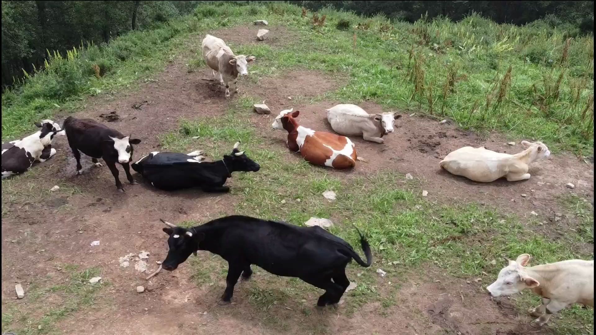 [图]航拍北京最高峰——东灵山