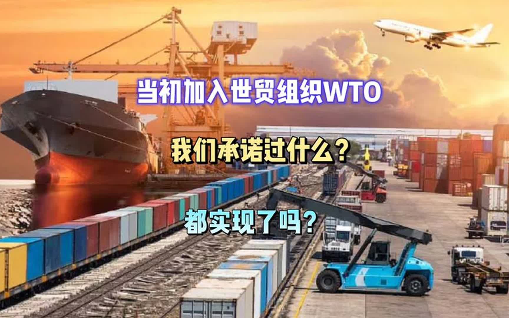 当初为了加入世贸组织WTO,我们承诺过什么?哔哩哔哩bilibili