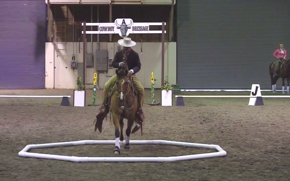 【西部马术】牛仔盛装舞步挑战(Cowboy Dressage Challenge)哔哩哔哩bilibili